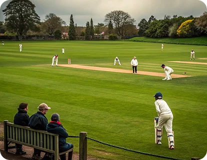 How to play fantasy cricket? 2- image